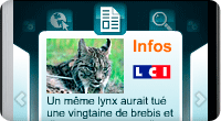 Bouygues Telecom